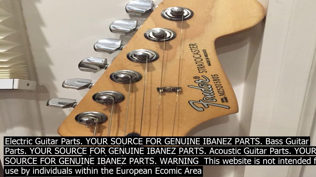 guitar serial number lookup ibanez